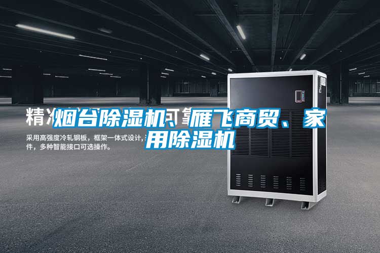 煙臺除濕機(jī)、雁飛商貿(mào)、家用除濕機(jī)