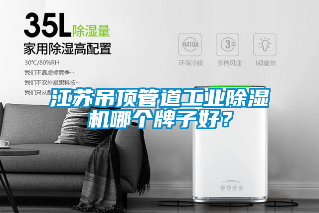 江蘇吊頂管道工業除濕機哪個牌子好？