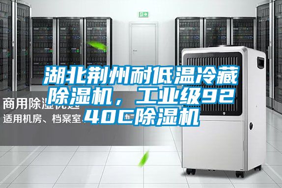 湖北荊州耐低溫冷藏除濕機(jī)，工業(yè)級(jí)9240C除濕機(jī)