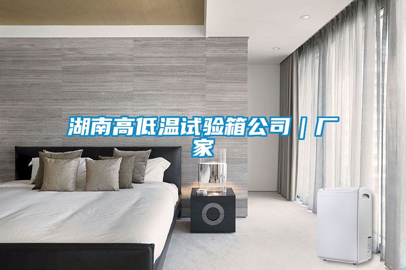 湖南高低溫試驗箱公司|廠家