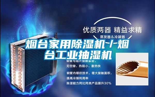 煙臺家用除濕機/煙臺工業(yè)抽濕機