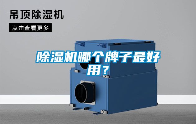 除濕機(jī)哪個(gè)牌子最好用?