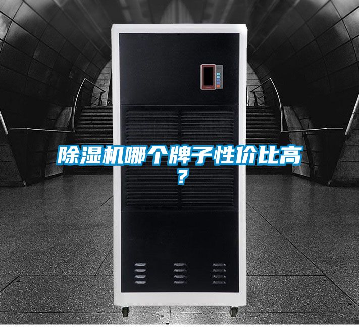 除濕機(jī)哪個(gè)牌子性?xún)r(jià)比高?