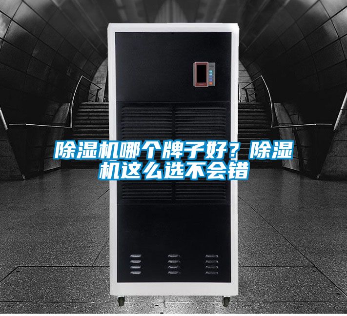 除濕機(jī)哪個(gè)牌子好?除濕機(jī)這么選不會(huì)錯(cuò)