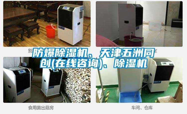 防爆除濕機(jī)、天津五洲同創(chuàng)(在線咨詢)、除濕機(jī)