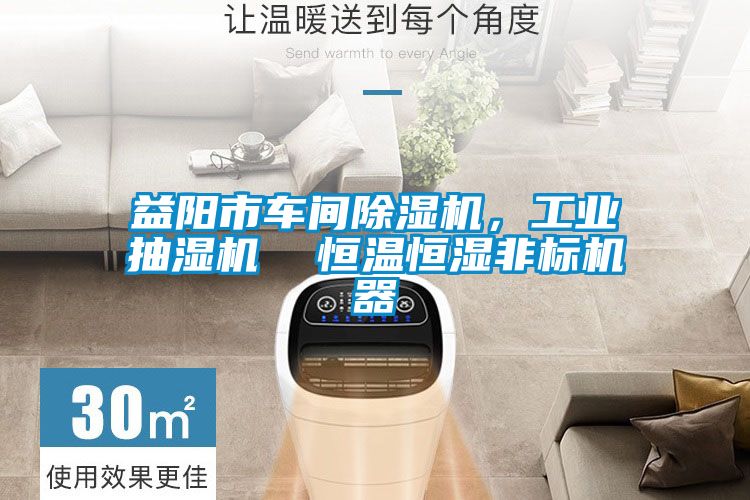 益陽市車間除濕機,工業抽濕機 恒溫恒濕非標機器