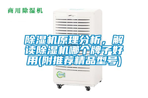 除濕機原理分析，解讀除濕機哪個牌子好用(附推薦精品型號)