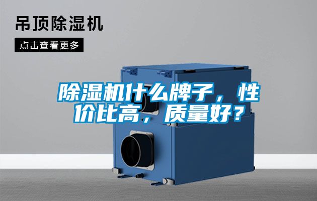 除濕機(jī)什么牌子,性?xún)r(jià)比高,質(zhì)量好?