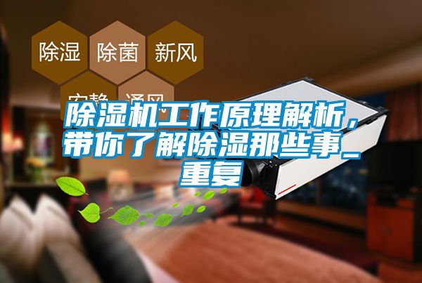 除濕機工作原理解析，帶你了解除濕那些事_重復