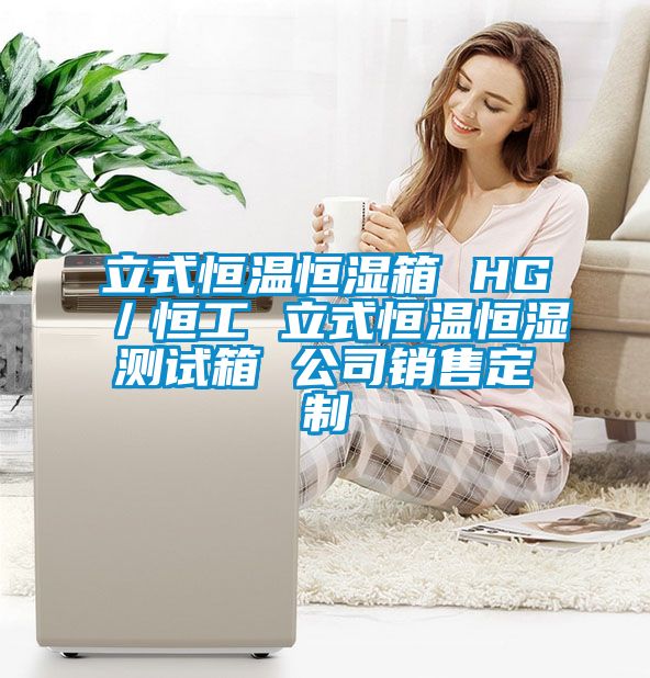 立式恒溫恒濕箱 HG／恒工 立式恒溫恒濕測(cè)試箱 公司銷售定制