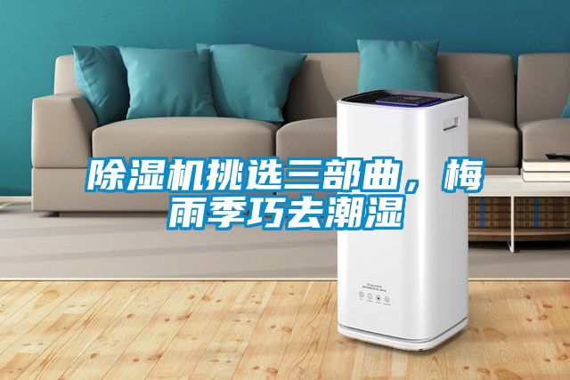 除濕機挑選三部曲，梅雨季巧去潮濕