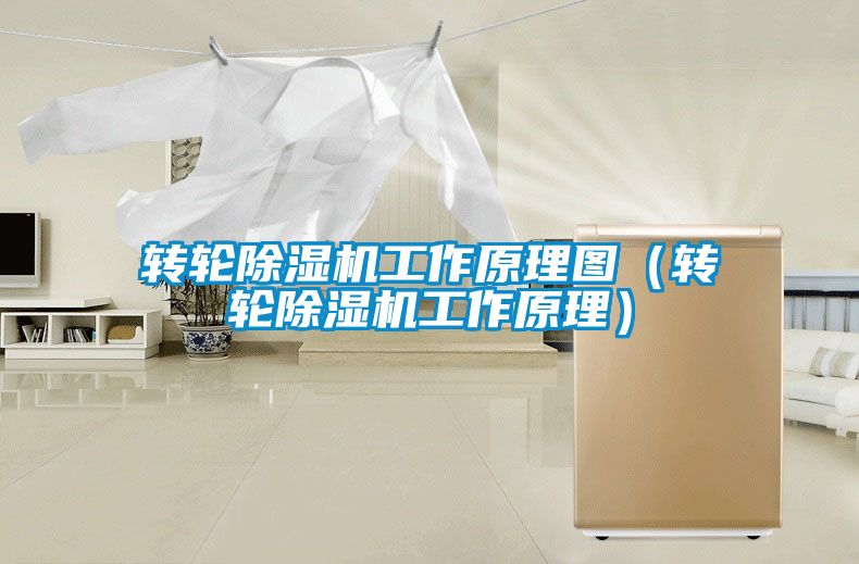 轉輪除濕機工作原理圖(轉輪除濕機工作原理)