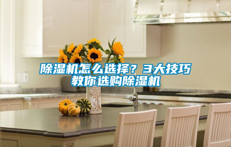 除濕機(jī)怎么選擇？3大技巧教你選購(gòu)除濕機(jī)