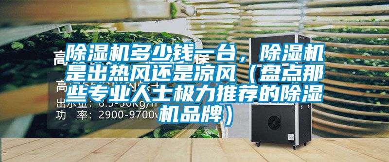 除濕機(jī)多少錢(qián)一臺(tái)，除濕機(jī)是出熱風(fēng)還是涼風(fēng)（盤(pán)點(diǎn)那些專(zhuān)業(yè)人士極力推薦的除濕機(jī)品牌）