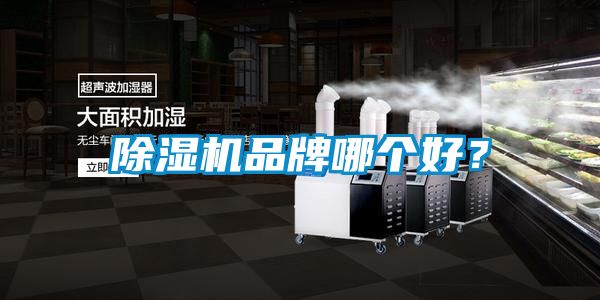 除濕機品牌哪個好？