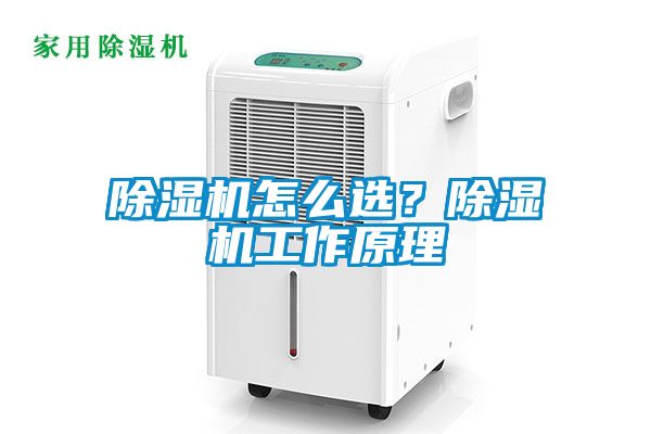 除濕機怎么選？除濕機工作原理