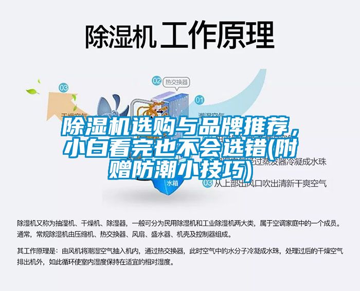 除濕機(jī)選購與品牌推薦,小白看完也不會(huì)選錯(cuò)(附贈(zèng)防潮小技巧)