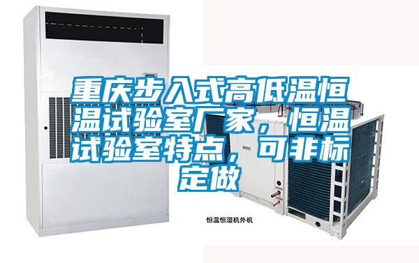 重慶步入式高低溫恒溫試驗室廠家，恒溫試驗室特點，可非標定做