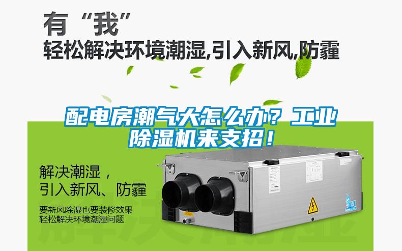 配電房潮氣大怎么辦？工業(yè)除濕機(jī)來支招！