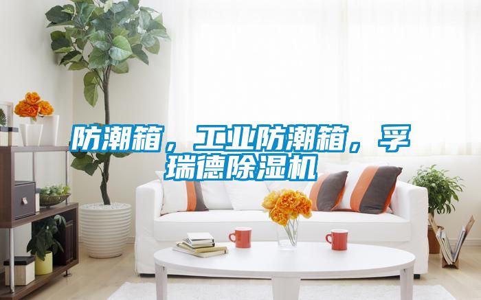 防潮箱，工業(yè)防潮箱，孚瑞德除濕機(jī)