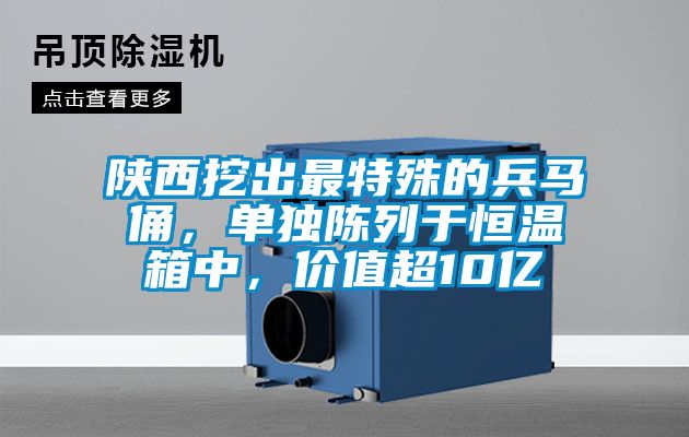 陜西挖出最特殊的兵馬俑,單獨(dú)陳列于恒溫箱中,價(jià)值超10億