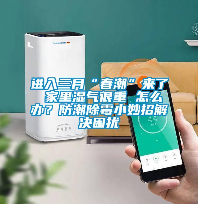 進入三月“春潮”來了 家里濕氣很重 怎么辦？防潮除霉小妙招解決困擾