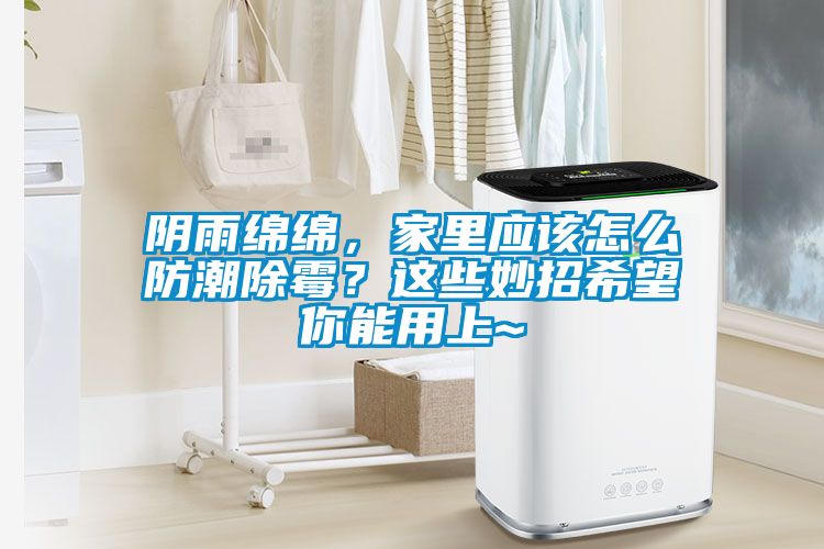 陰雨綿綿，家里應(yīng)該怎么防潮除霉？這些妙招希望你能用上~