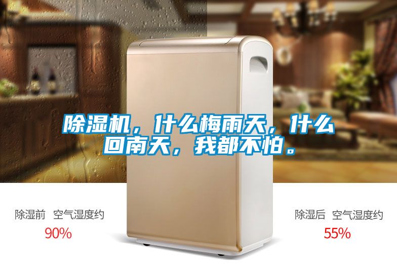 除濕機，什么梅雨天，什么回南天，我都不怕。
