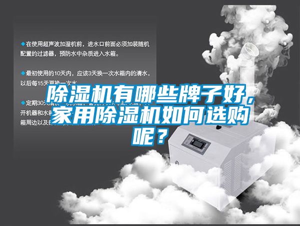 除濕機有哪些牌子好，家用除濕機如何選購呢？